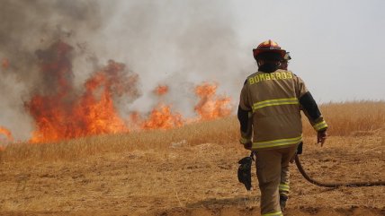  Un 15% de los chilenos se siente preparado para enfrentar un incendio  