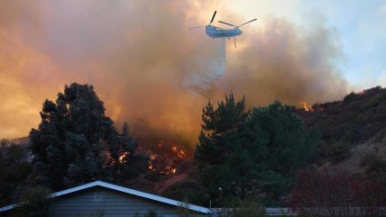   Incendios en Los Ángeles: 16 muertos, 13 desaparecidos y 15 mil hectáreas quemadas 