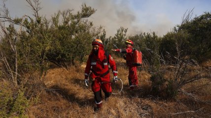   Cancelan alertas rojas para Melipilla y Lampa por incendios forestales 