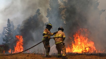  Gobierno: 70% de los incendios esta temporada son por negligencia y 23% son intencionales  