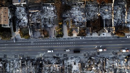  FAO pide lecciones para prevenir incendios tan catastrófico como el de Los Ángeles  