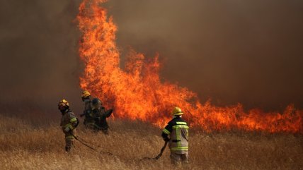  Adulta mayor falleció en incendio forestal de San Esteban  