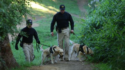   PDI busca agentes policiales: Ofrece carrera técnica y sueldo inicial de un millón 