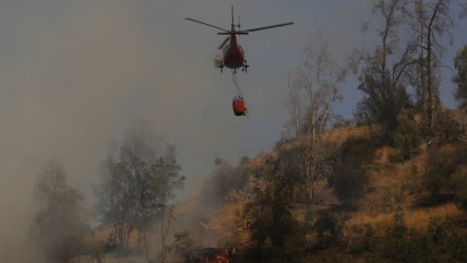   Herramienta de Google alertará de incendios forestales en tiempo real: ¿Cómo activarlo? 