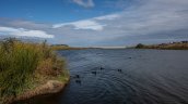 Día Mundial de los Humedales: ¿Qué tan importantes son para el ecosistema?
