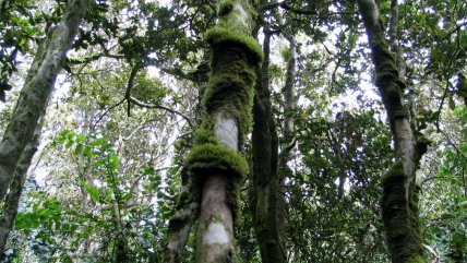  Parques y reservas nacionales cerrarán por altas temperaturas  