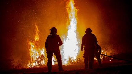   Bomberos fueron atacados a balazos durante incendio forestal en La Araucanía 