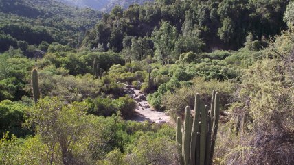  Cierre de parques nacionales: Fedetur pide que el Gobierno 