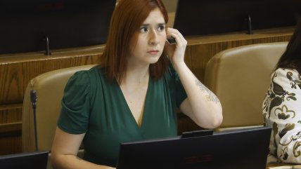   Democracia Viva: Corte revisa desafuero de diputada Catalina Pérez 