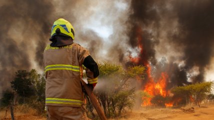  Senapred: Incendios forestales dejan casi 40 damnificados y 28 viviendas destruidas  