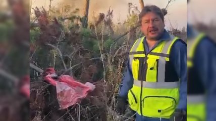   Incendios en Galvarino: Alcalde denunció hallazgo de sacos con líquido acelerante 