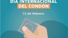 Día Internacional del Condón: Chilenos cuentan por qué lo usan    Día Internacional del Condón: Chilenos cuentan por qué lo usan