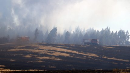   Descenso de las temperaturas da tregua al combate de los incendios forestales 