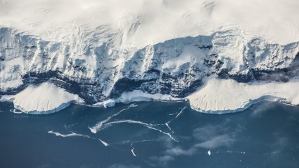   Gripe aviar altamente patógena infectó a todas las especies de seis islas antárticas 