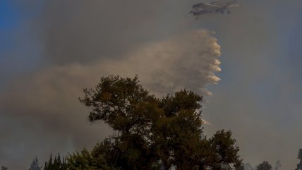   Incendio forestal argentino avanza hacia Cochamó: Autoridades se preparan para combatirlo 