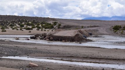   Por lluvias altiplánicas, cierran hasta marzo una reserva y un monumento natural en Putre 