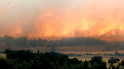   Incendios forestales: Se levanta toque de queda en La Araucanía 