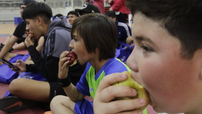 Revisa los programas de Junaeb para este 2025