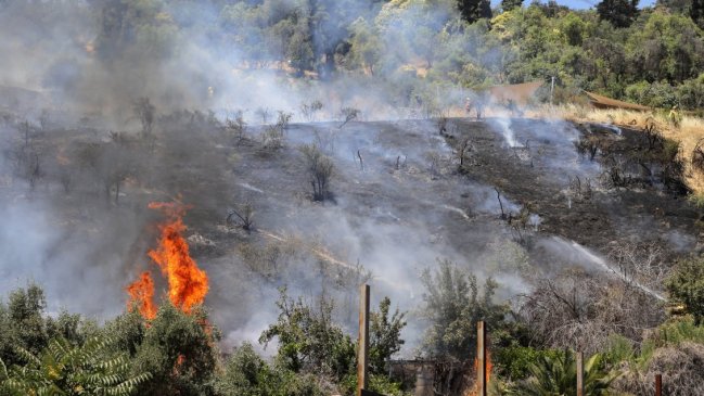 Biobío: Alerta roja para Los Ángeles por incendio forestal cercano a viviendas