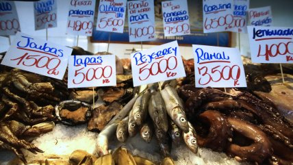   ¿Cómo reconocer pescados y mariscos en buen estado de cara a Semana Santa? 
