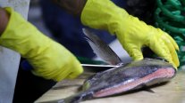 Autoridades fiscalizan productos del mar en el Mercado Central de Santiago