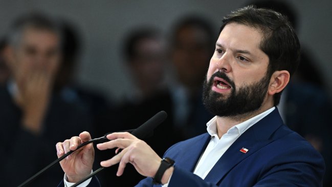 Boric destacó 