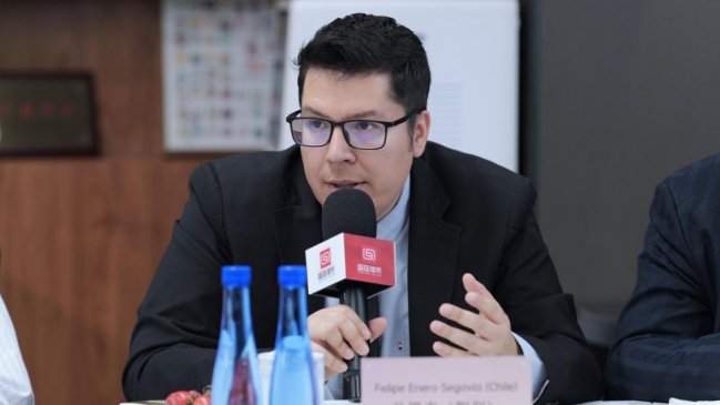 Supuestos riesgos de la inversión de China en Chile: algunas observaciones críticas
