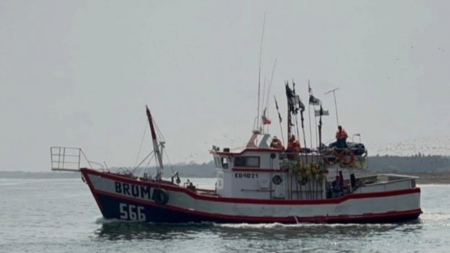 Huesos hallados en planta pesquera de Coronel no son humanos