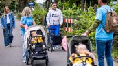 Corrida benéfica Wings for Life tuvo multitudinaria participación a nivel mundial