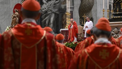   Cómo es el perfil de los 