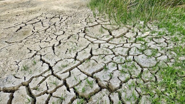 El 10% más rico del mundo ha causado dos tercios del calentamiento global desde 1990