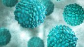 Una vacuna oral contra el norovirus da resultados positivos en un ensayo clínico de fase 2
