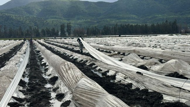 Remociones en masa interrumpen conectividad de Chaitén y Chiloé