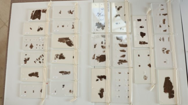 Museo de EEUU devuelve a China antiguos manuscritos en seda de los Reinos Combatientes