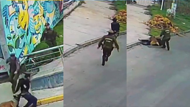 Perrito se lució al atrapar a ladrón que intentó escapar dos veces de Carabineros