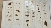 Museo de EEUU devuelve a China antiguos manuscritos en seda de los Reinos Combatientes