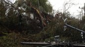 Sistema frontal: La Araucanía registra caídas de árboles y Biobío lluvias de hasta 80 milímetros