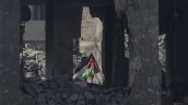 Ignacio Walker: Israel siente que puede actuar con impunidad en Gaza