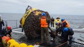 Armada reconoció fallas en boyas detectoras de tsunamis