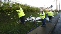 Comenzó la remoción de escombros tras el tornado que afectó a Puerto Varas