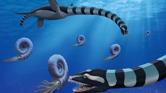 Investigador chileno participó en inédito hallazgo de un nuevo tipo de plesiosaurio