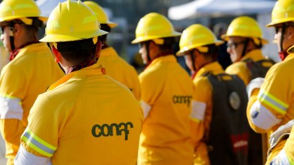  Trabajadores de Conaf anuncian paro indefinido en 