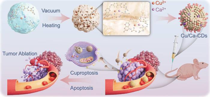 Imagen foto_00000001