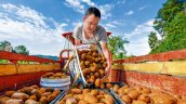 China Hoy: La apuesta por la demanda interna