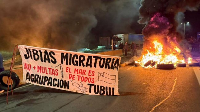 Pescadores artesanales de Lebu exigen declarar a la jibia un recurso migratorio