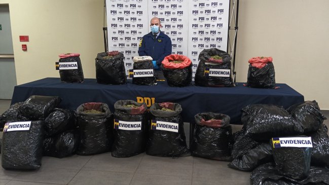PDI incautó en Vicuña 107 kilos de marihuana que serían distribuidos en La Araucanía