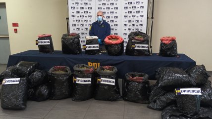   PDI incautó en Vicuña 107 kilos de marihuana que serían distribuidos en La Araucanía 