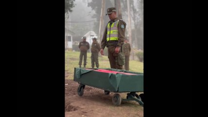   Con honores: viralizan emotivo funeral de perro de Carabineros 