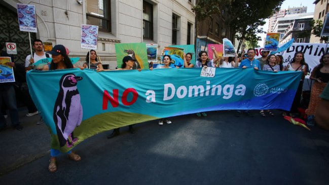 ONG acusa inacción del Gobierno ante aumento de denuncias por ataques a ambientalistas