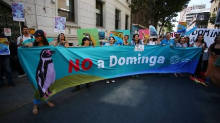  ONG acusa inacción del Gobierno ante aumento de denuncias por ataques a ambientalistas  